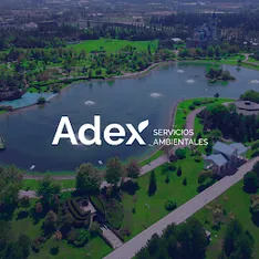 Adex
