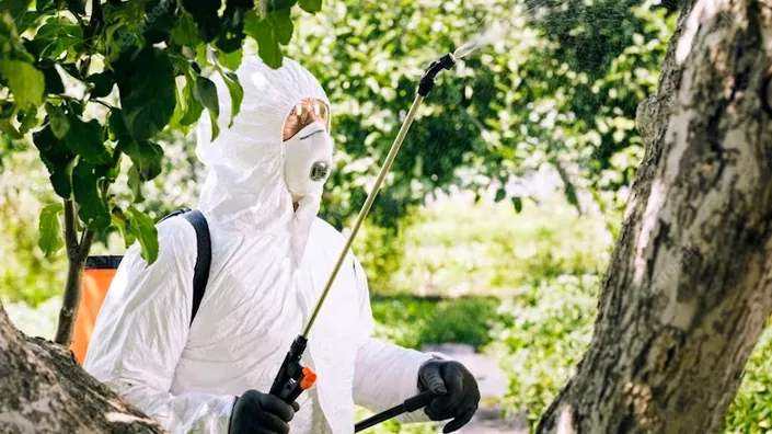 Agroquímica Y Fumigaciones San Bernardo