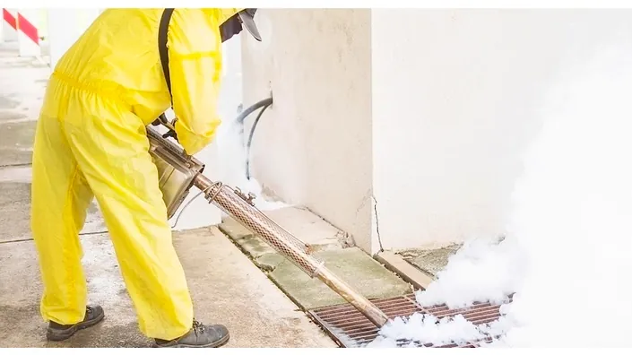 DR ANTIPLAGAS FUMIGACIONES