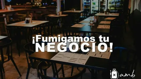 Empresa de fumigaciones en rosario