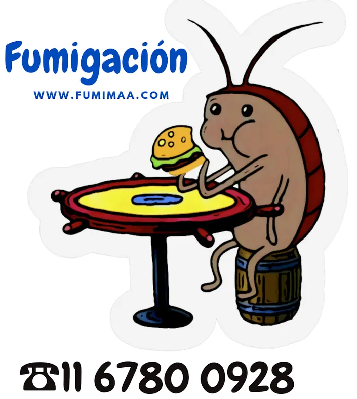 Fumi.maa, Flores