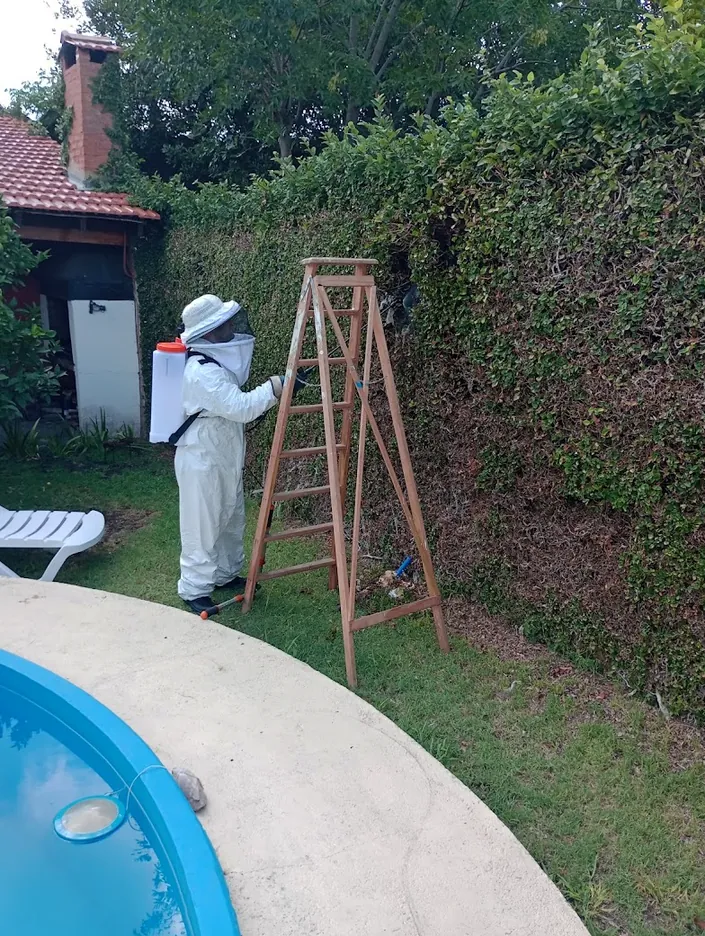Fumigaciones Cero Plagas y Limpieza de Campanas y sistema de extraccion