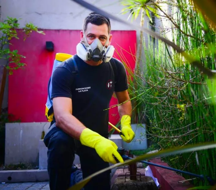 Fumigaciones de insectos y Roedores