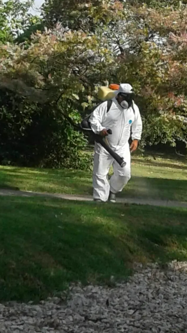 Fumigaciones ecologicas escobar