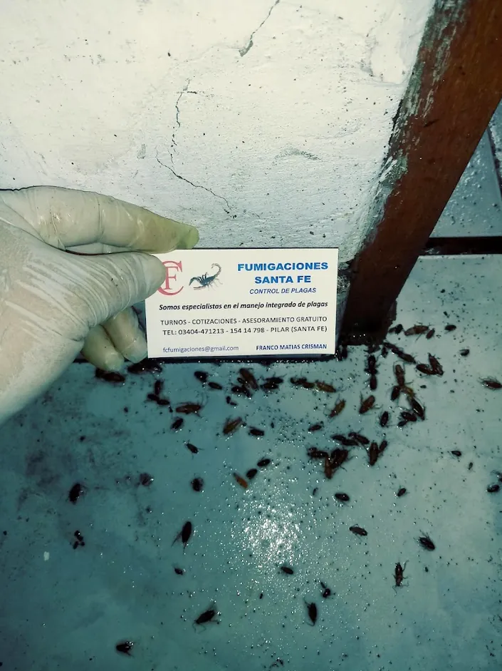 Fumigaciones Santa Fe