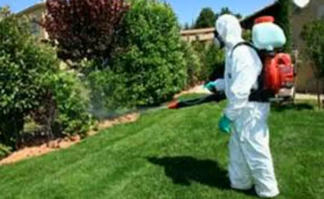 Fumigaciones Vgg