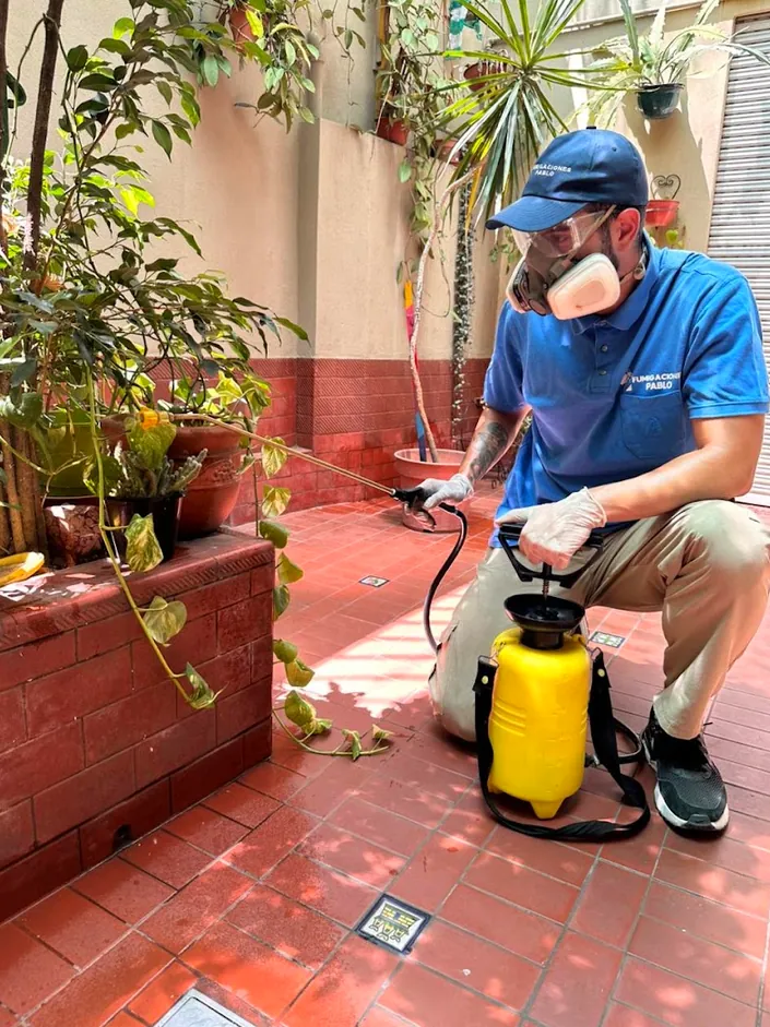 Fumipa – Fumigaciones Pablo