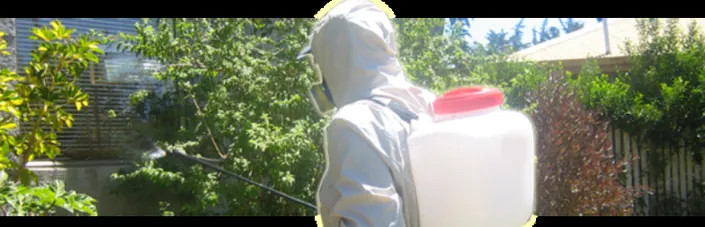 Grupo Peyman