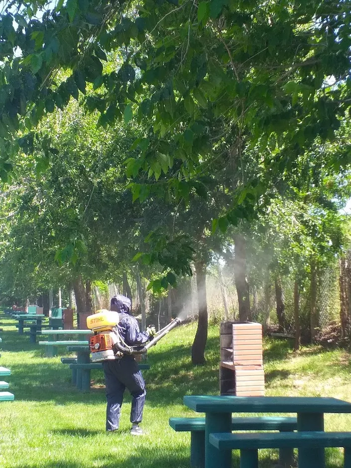 L y F fumigaciones