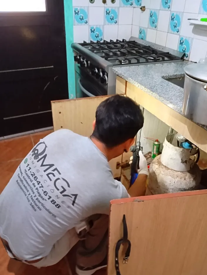 Omega fumigaciones