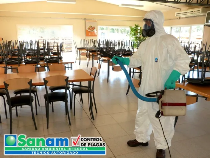 SANAM Desinfecciones Córdoba – Control de plagas