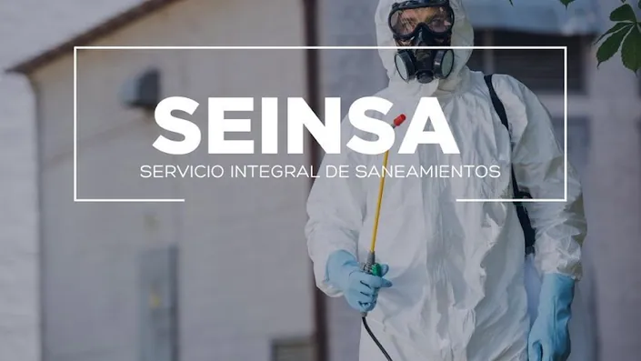 Seinsa Saneamientos