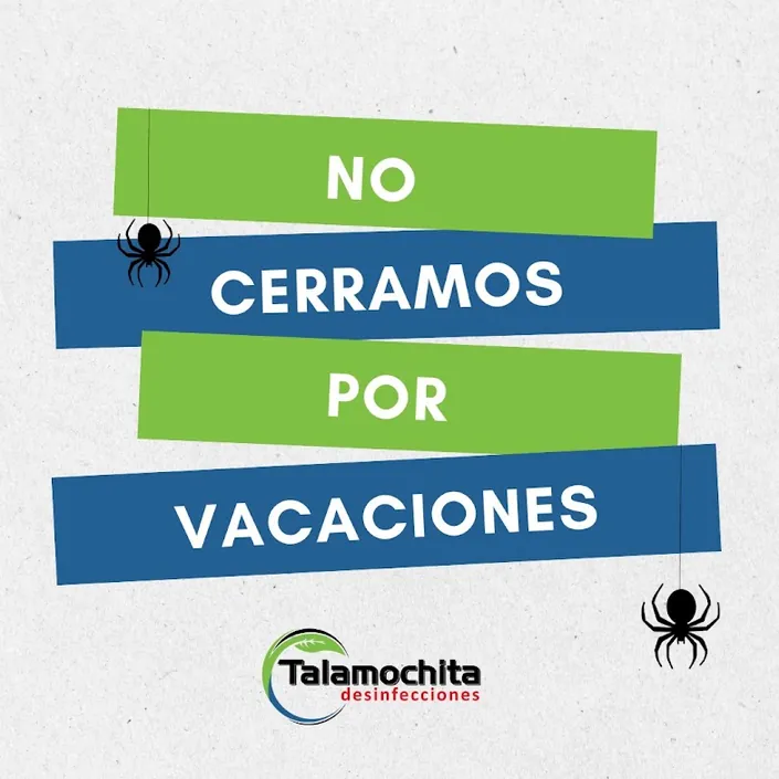 Talamochita Desinfecciones