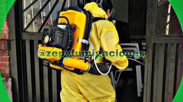 ZEPY FUMIGACIONES LOMAS DE ZAMORA